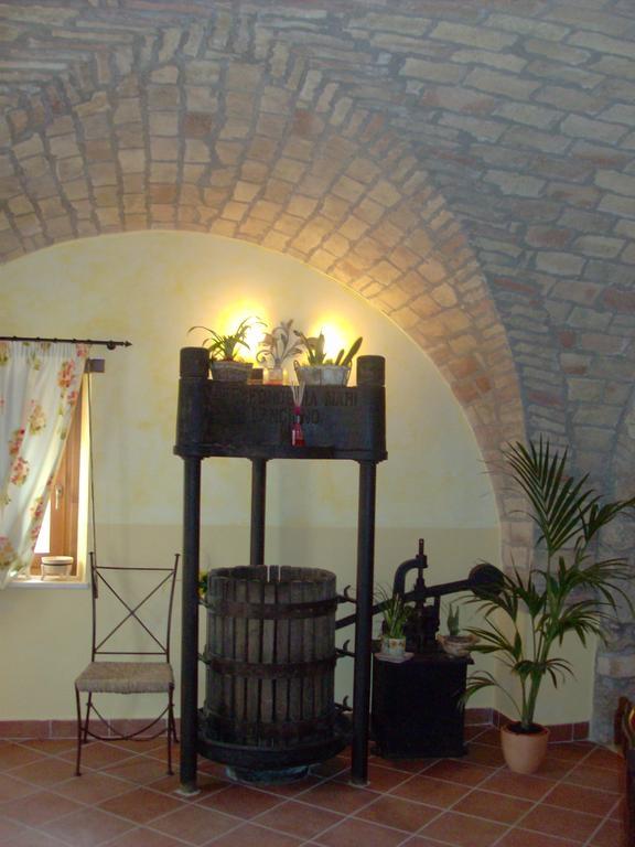 Ciuccunit Bucchianico